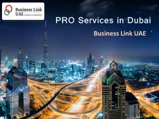 PRO Services in Dubai