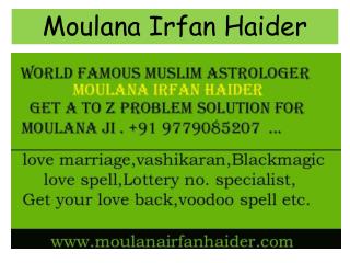 Muslim Astrologer - MoulanaIrfanHaider