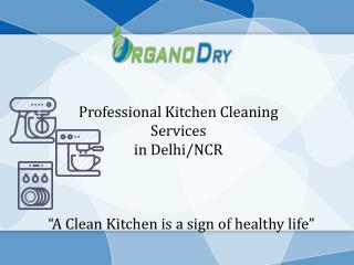 Professional Kitchen Cleaning Services in Delhi/NCR