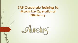 SAP Corporate Training To Maximize Operational Efficiency