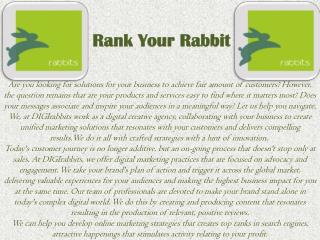 Knowledgest Digital Markeing Service in Kolkata | Rank Your Rabbit