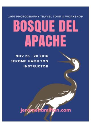 Bosque Del Apache 2016 Photography Travel Tour and Workshop by Jerome Hamilton