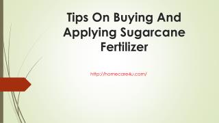 Tips On Buying And Applying Sugarcane Fertilizer