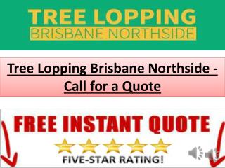 Tree Lopping Brisbane Northside - Call for a Quote