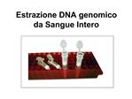 Estrazione DNA genomico da Sangue Intero