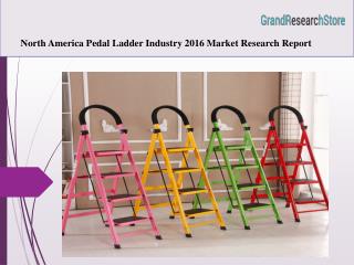North America Pedal Ladder Industry 2016 Market Research Report
