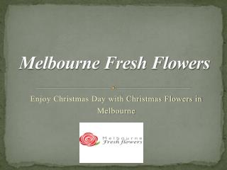 Christmas Flower Delivery Melbourne - Melbourne Fresh Flowers
