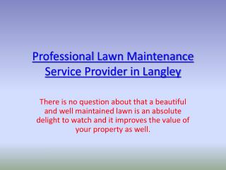Lawn maintenance Langley