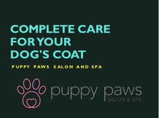 Complete Care for your Dog's Coat