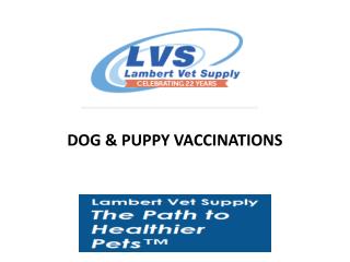 Dog & Puppy Vaccinations