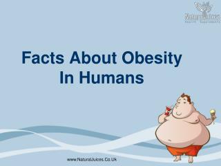Facts About Obesity In Humans