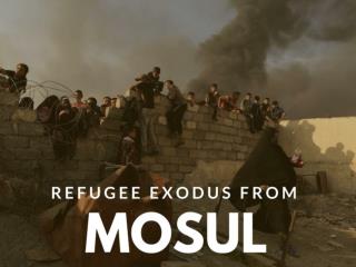 Refugee exodus from Mosul