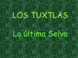 LOS TUXTLAS La última Selva