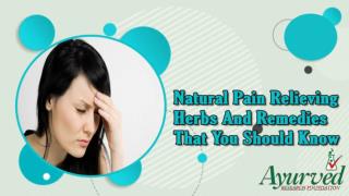 Natural Pain Relieving Herbs And Remedies That You Should Know