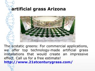 artificial grass Arizona