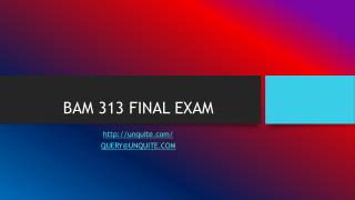 BAM 313 FINAL EXAM