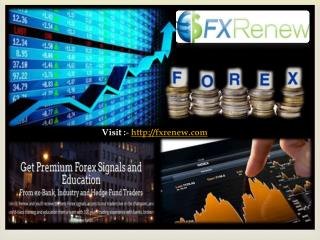 Forex Trading Signals and Forex Trading Course