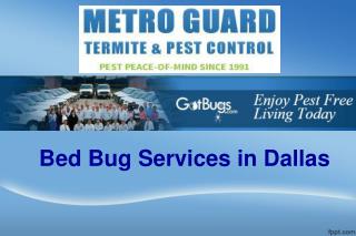 Bed Bug Services in Dallas