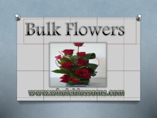 Bulk Flowers - www.wholeblossoms.com