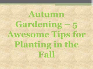 Autumn Gardening – 5 Awesome Tips for Planting in the Fall