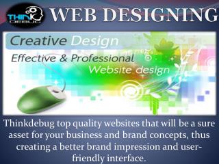 Thinkdebug is Software Company which provides the best web services in India.
