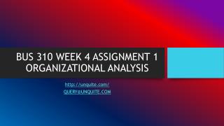 BUS 310 WEEK 4 ASSIGNMENT 1 ORGANIZATIONAL ANALYSIS