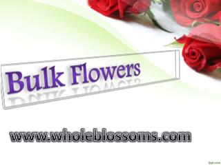 Bulk Flowers Online - www.wholeblossoms.com