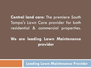 Landscape Lighting Service| Lawn Care Service Tampa| South Tampa landscaping