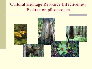 Cultural Heritage Resource Effectiveness Evaluation pilot project