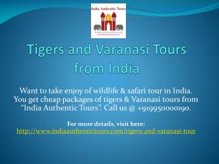 Tigers and Varanasi Tours from India