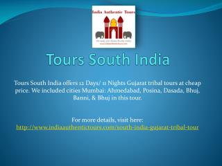Tours south India