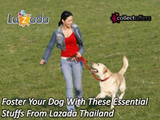 Foster Your Dog With These Essential Stuffs From Lazada Thailand!