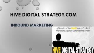 Denver Digital Marketing