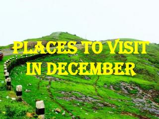 Check out The best Kerala Tour Packages available to Beaches1
