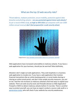 What are the top 10 web security risks?