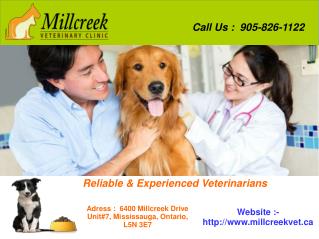 Animal Hospital in Mississauga