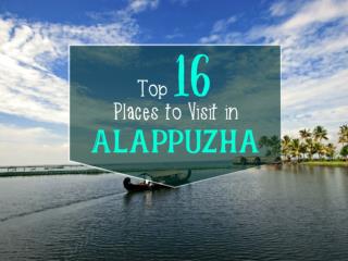 Top 16 Places to Visit in Alappuzha