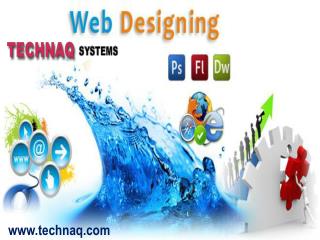 web design company in delhi provided the best solution