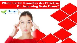 Which Herbal Remedies Are Effective For Improving Brain Power?