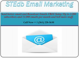 Email Marketing Campaign Strategies