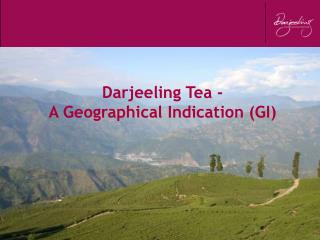 Darjeeling Tea - A Geographical Indication (GI)