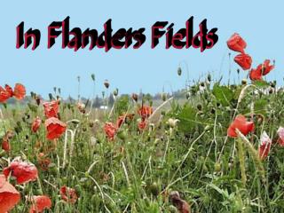 In Flanders Fields