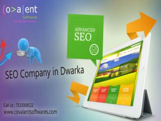 seo company in dwarka delhi