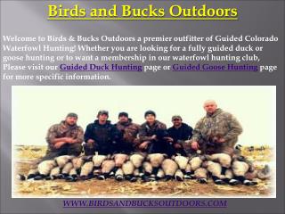 Guided Duck Hunting in Colorado