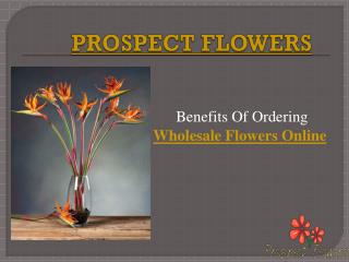 Order Wholesale Flowers Online – Prospect Flowers