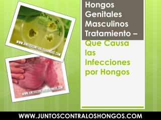 Hongos Genitales Masculinos Tratamiento – Que Causa las Infecciones por Hongos