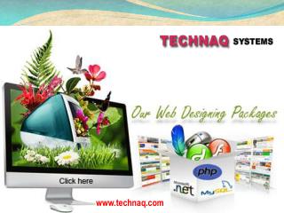 Instant Service with web design company in delhi