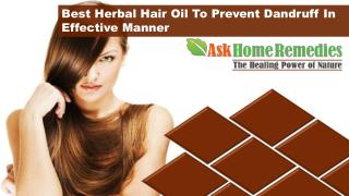 Best Herbal Hair Oil To Prevent Dandruff In Effective Manner