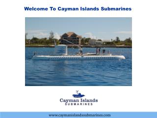 Enjoy your Cayman tour with the SeaWorld observatory