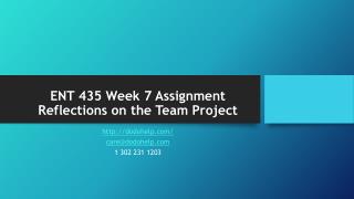 ENT 435 Week 7 Assignment Reflections on the Team Project